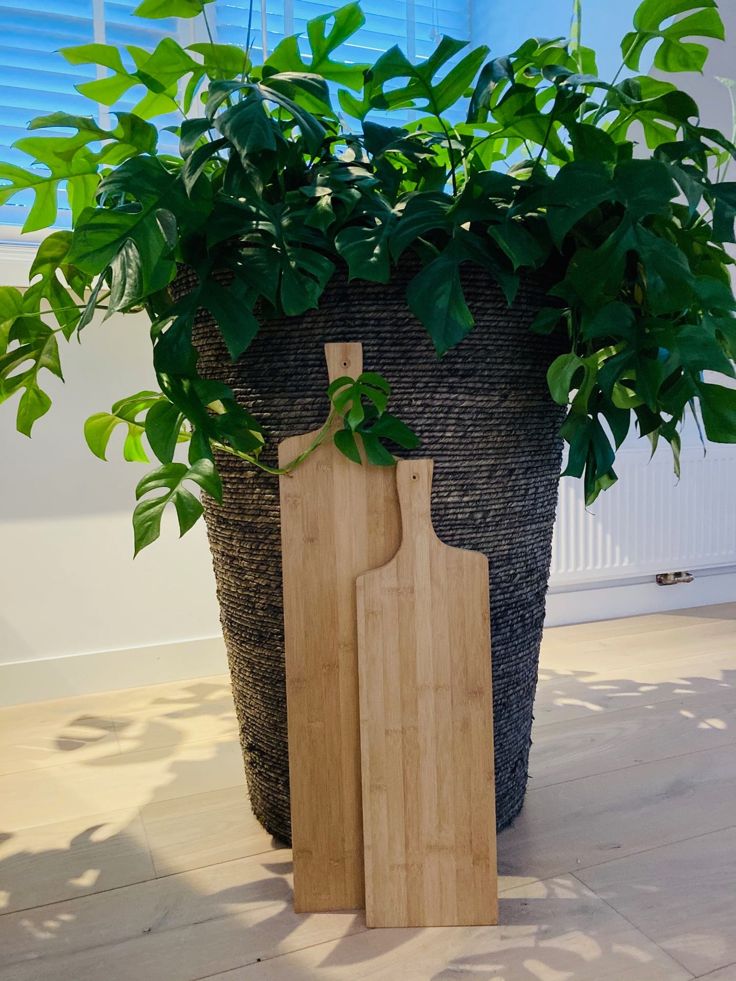 Bamboe product